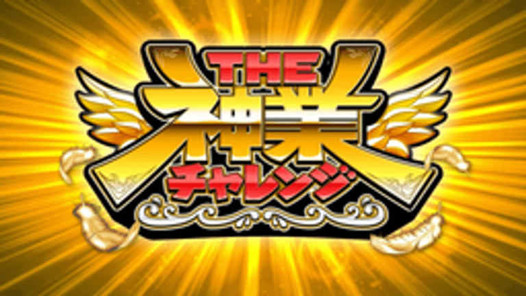 THE神業チャレンジ